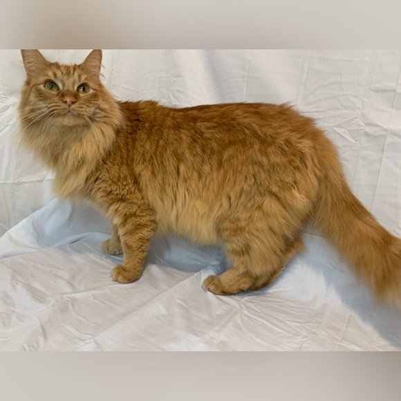 Meet your Posher, Katie - Picture 6 of 6